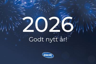 Godt nytt år